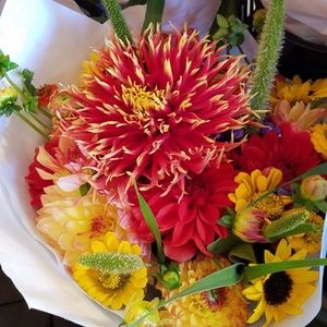 Meet your Posher, Sharon